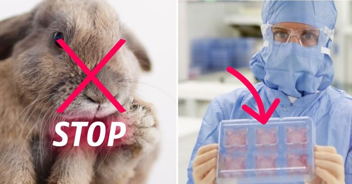 Maquillage : voici comment font les marques vegan pour tester leurs produits de beauté