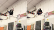 'Parkour freak hits head on high bar while backflipping off it'