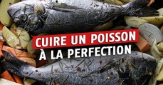 Les erreurs à ne pas faire lorsqu'on cuisine du poisson