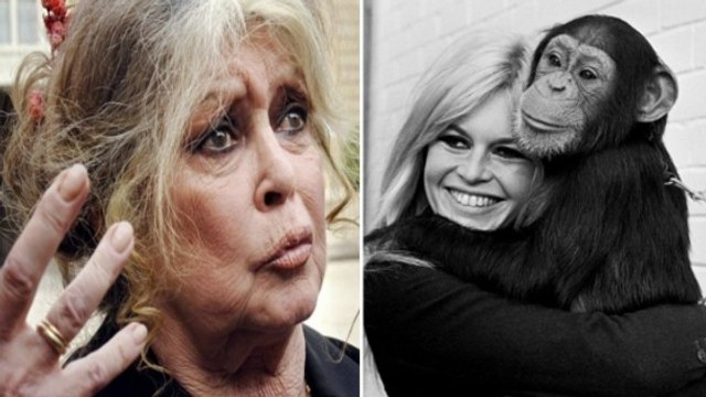 Brigitte Bardot : elle pousse un coup de gueule pour la cause animale et dénonce les principaux responsables !