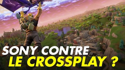 Fortnite : les joueurs Playstation mettent la pression à Sony pour débloquer leurs comptes