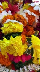 गणेश जयंती निमित्त गणपतीला केलेली फळांची आरस ठाणाच्या कोपरीतील गंगा भास्कर मंडळ shorts