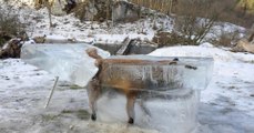 Un chasseur découvre un renard piégé par la glace dans les eaux du Danube