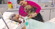 A l'hôpital, un homme dans le coma réagit en sentant la présence de sa chienne
