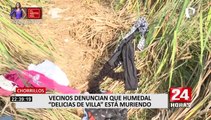 Chorrillos: Pantanos de Villa se encuentran en abandono, según vecinos