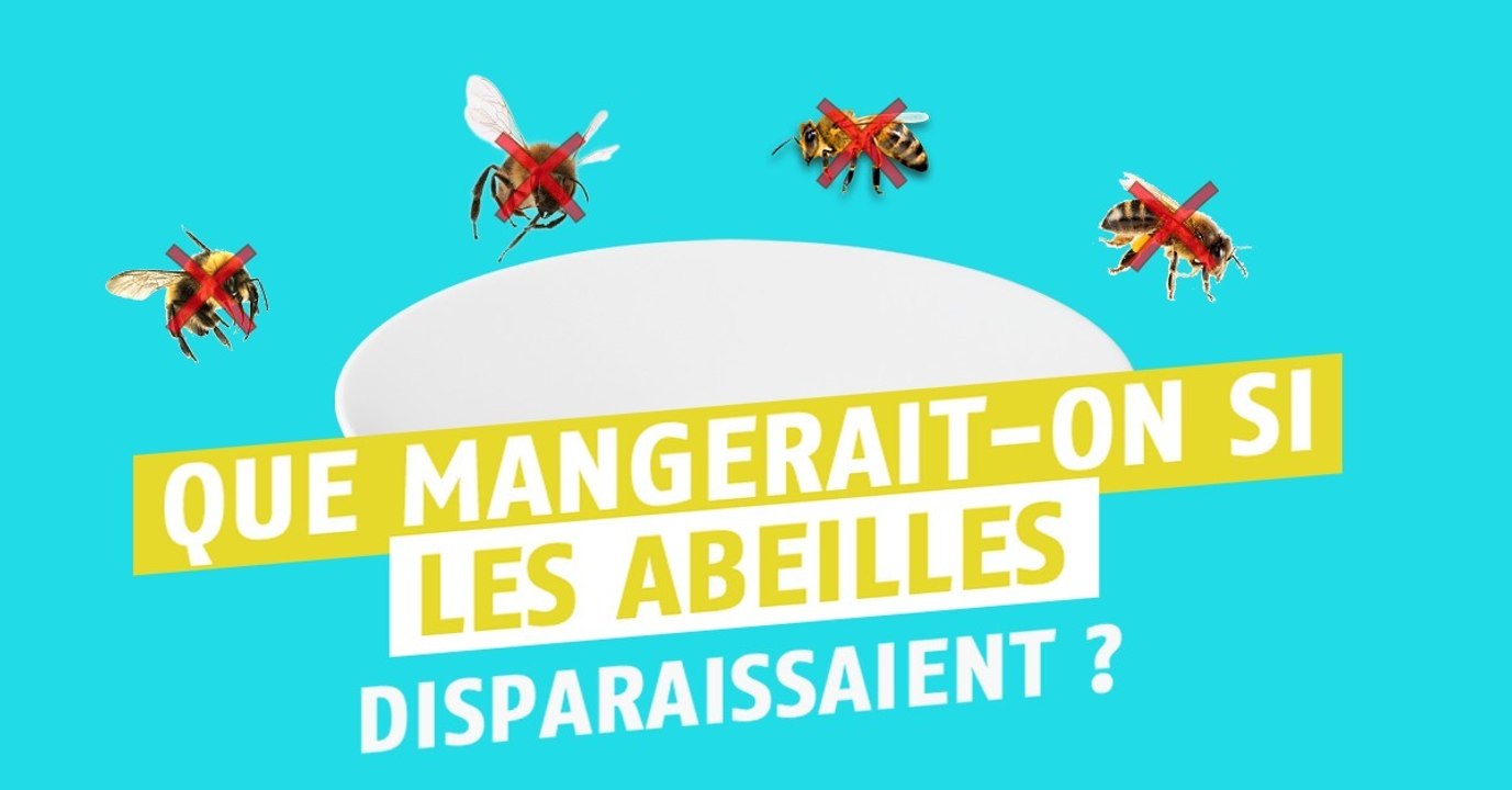 À quoi ressembleraient nos repas sans les abeil...