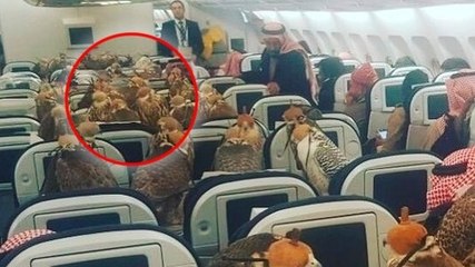 Ce prince saoudien réserve 80 places supplémentaires dans un avion pour une raison aberrante !