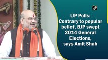 UP Polls: Contrary to popular belief, BJP swept 2014 general elections, says Amit Shah