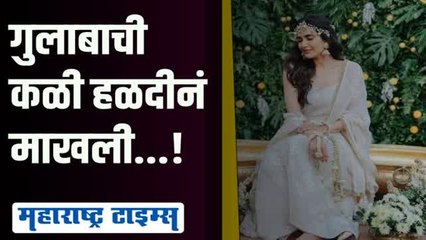 करिष्मा तन्ना-वरुण बंगेरासोबत विवाहबंधनात अडकणार; हळदीचे व्हिडिओ व्हायरल