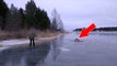 Suède : 3 personnes sauvent un élan piégé dans la glace d'un lac gelé