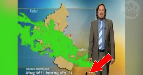 Un chat s'invite en plein direct météo à la télévision allemande