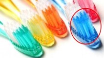 Brosses à dents : voici à quoi sert réellement le petit bout coloré !
