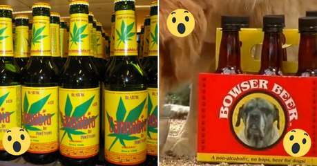 Découvrez les 6 bières les plus osées jamais inventées !