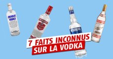 Ces 7 choses que vous ignorez sur la vodka !