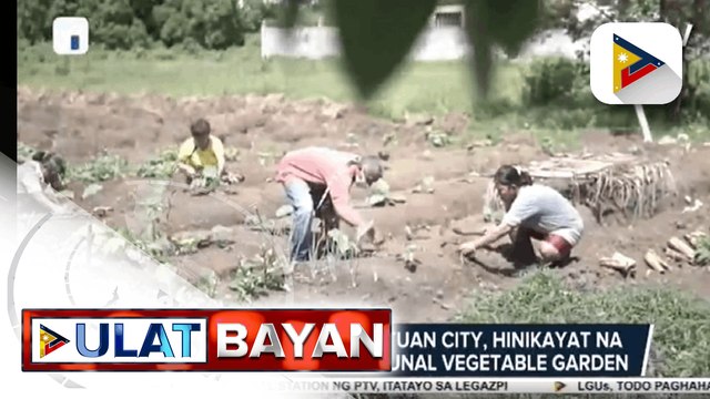 Mga residente ng Butuan City, hinikayat na magkaroon ng communal vegetable garden