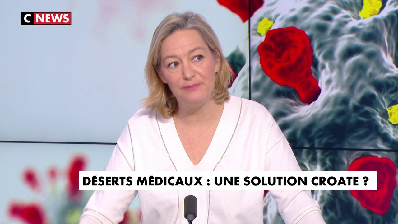 Ludovine de La Rochère sur l’initiative d’Orléans contre les déserts médicaux : «C’est une mesure transitoire»