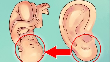 Ce que la forme de vos oreilles dit de vous et de votre santé