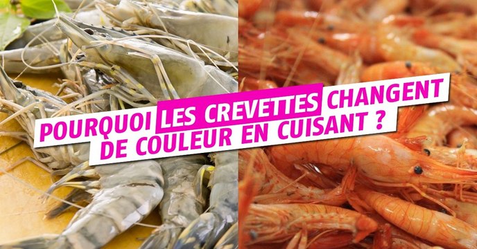 Savez-vous pourquoi les crevettes deviennent rose-orange après cuisson ?
