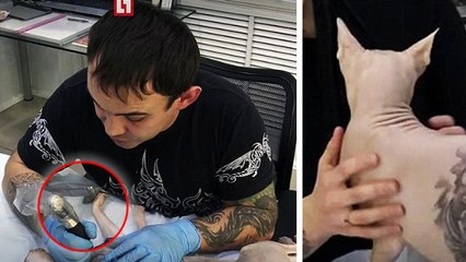 Aleksandr : cet artiste tatoueur vient d'encrer pour la quatrième fois... son chat sphynx !