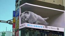A new cat on a curved LEG-screen in Tokyo's Cross Space near the Shinjuku train station.