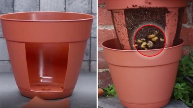 Elle découpe des rectangles dans des pots de jardinage... Ce qu'elle en fait est magique !