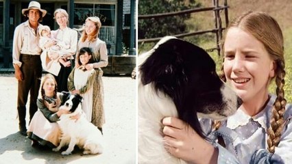 La petite maison dans la Prairie : on vous en dit plus sur Bandit, le chien adopté par la famille Ingalls !