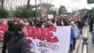 Maturità, migliaia gli studenti in piazza a Roma: "No alla seconda prova scritta, sì alla tesina"
