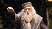 Harry Potter : voilà pourquoi Ian McKellen a refusé le rôle d'Albus Dumbledore