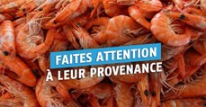 3 scandales alimentaires qui vous feront voir la crevette autrement !