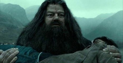 Cette incroyable théorie alternative sur Harry Potter... aurait pu bouleverser la fin de la saga !