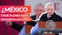 ¿México tiene planes para desarrollar litio?