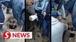 Moroccan rescuers edge closer to child trapped in well
