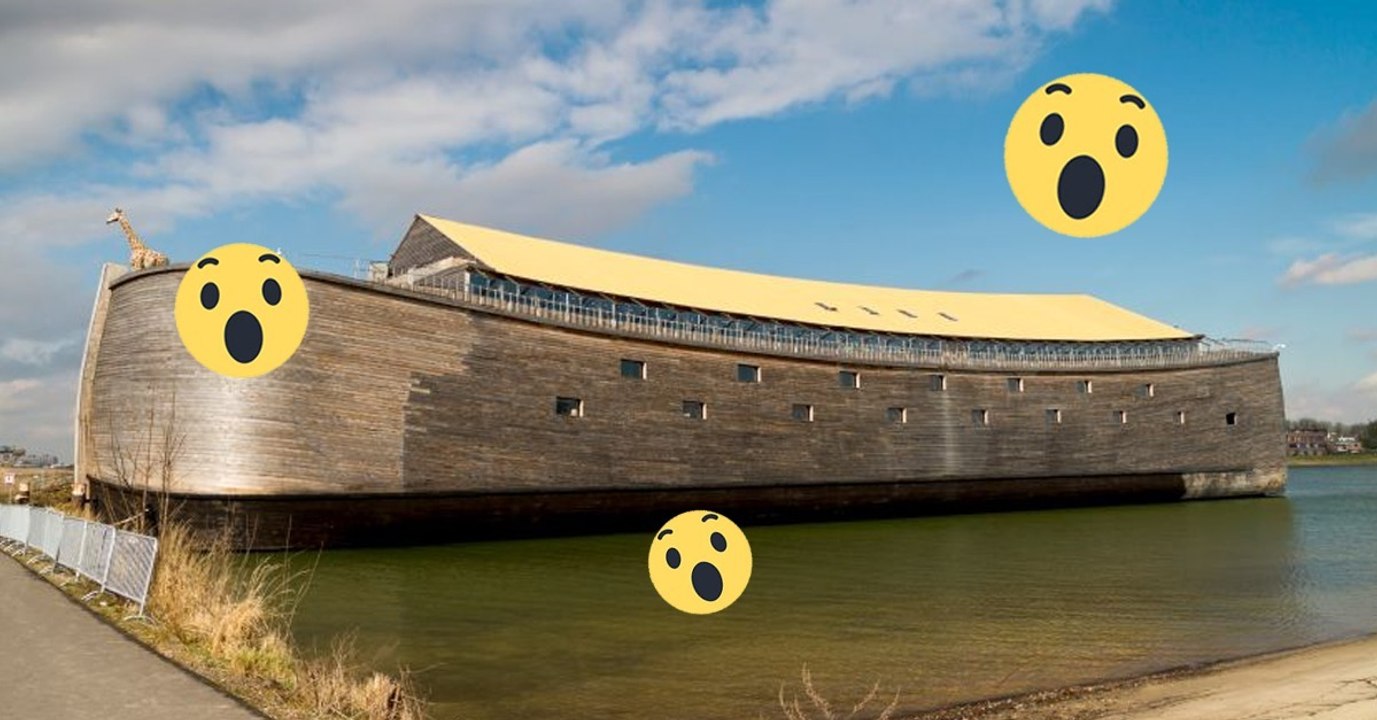 Ce millionnaire a décidé de construire une vraie arche de Noé ! Complètement dingue !