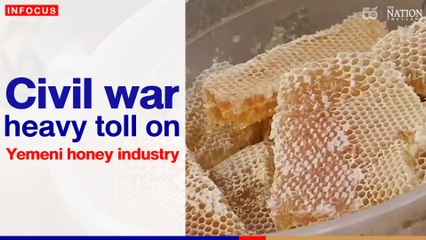 Civil war takes heavy toll on Yemeni honey industry | The Nation Thailand