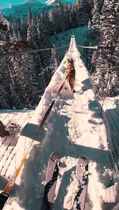 Skiing in Suspense