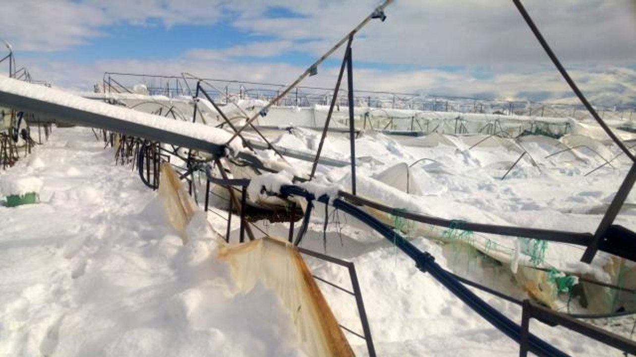 Isparta'da seralar yoğun kar yağışına dayanamadı
