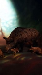 Muséum d'histoire naturelle de Grenoble (14)