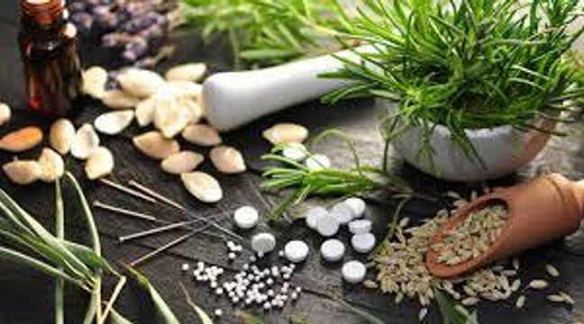 Phytothérapie : minceur, sommeil, arthrose, tous les bienfaits de la phyto
