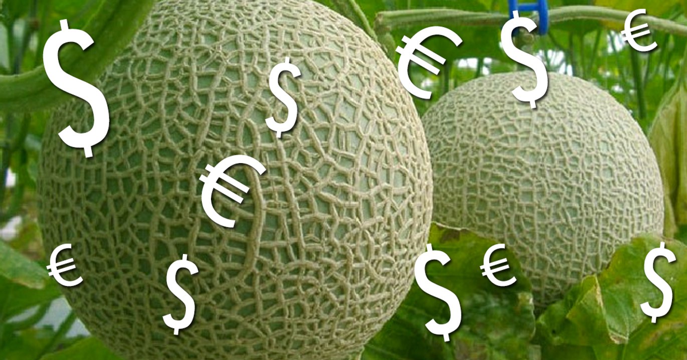 Ces melons sont les plus chers du monde !