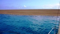 Îles Tonga : l'éruption d'un volcan sous-marin crée la naissance d'une île en plein Océan Pacifique