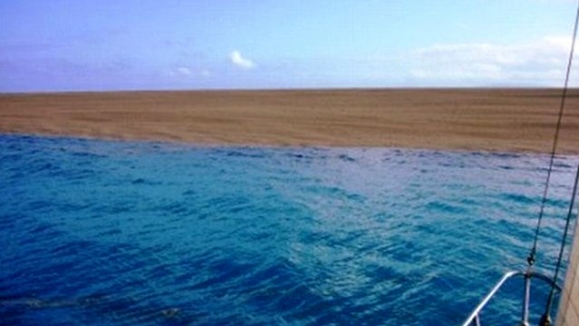 Îles Tonga : l'éruption d'un volcan sous-marin crée la naissance d'une île en plein Océan Pacifique