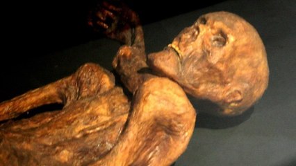 La plus ancienne affaire criminelle vient d'être élucidée !