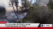 Un incendie de forêt a brûlé 1 235 hectares au Chili