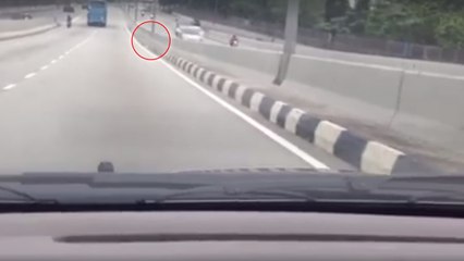 Singapour : Un automobiliste sauve un chat coincé sur l'autoroute