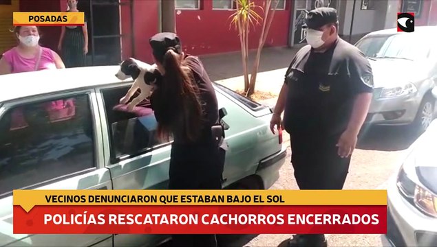 Policías rescataron cachorros encerrados