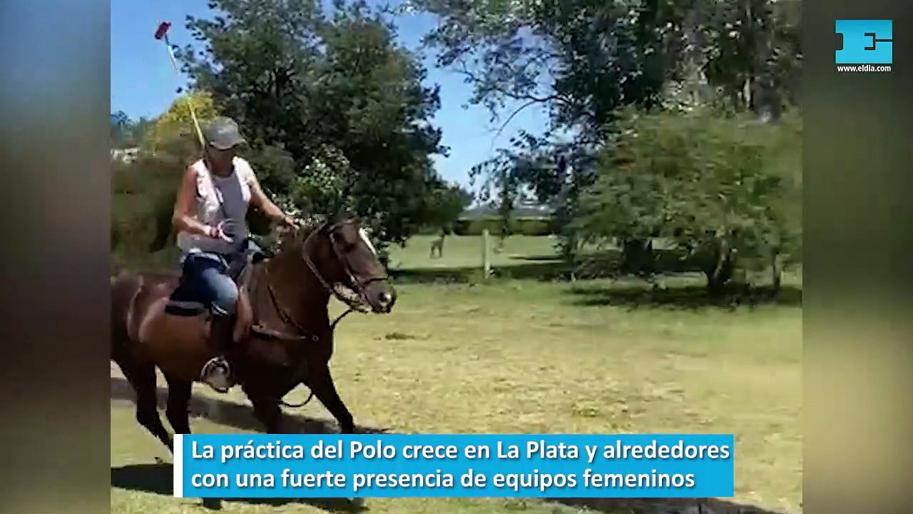 El polo sur