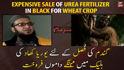 Expensive sale of urea fertilizer in black for wheat crop