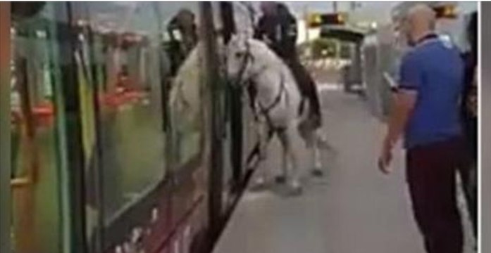 Il monte dans le tramway de Montpellier avec… son cheval !