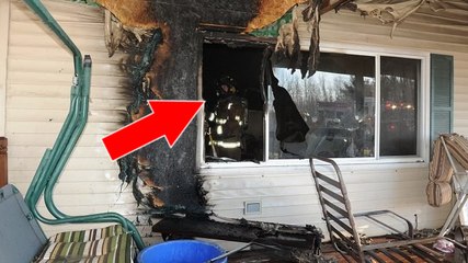 Caché dans le sol, un chat survit à l'incendie de sa maison... pendant 2 mois !