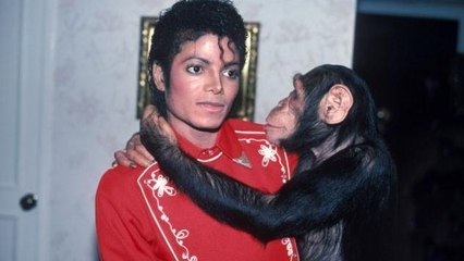 Michael Jackson : découvrez ce qu'est devenu son pauvre chimpanzé